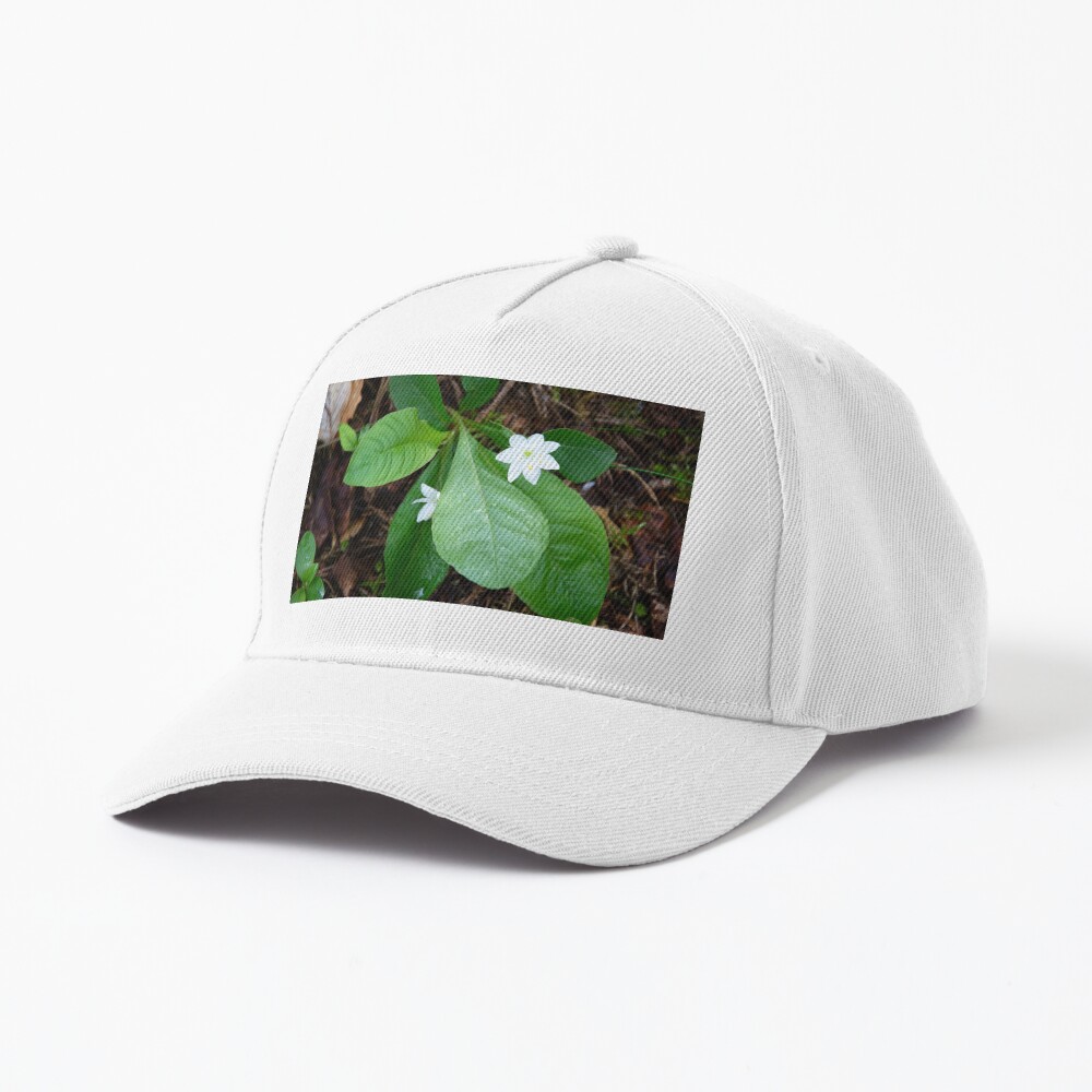 Item preview, Baseball Cap designed and sold by SiobhanFraser.