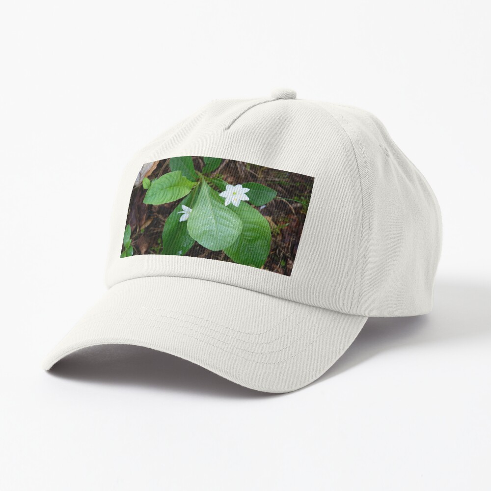 Item preview, Dad Hat designed and sold by SiobhanFraser.