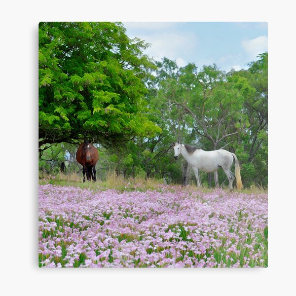 Item preview,  HORSES IN A FIELD OF PINK FLOWERS designed and sold by Barbara Jean Photo Art And Design.