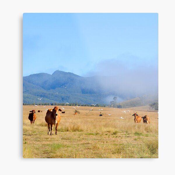 Item preview, COUNTRY SCENE, COWS, HILLS, BIRDS designed and sold by Barbara Jean Photo Art And Design.