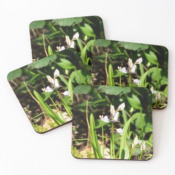 Item preview, Insect on White Bluebells designed and sold by Alternative Perspectives.