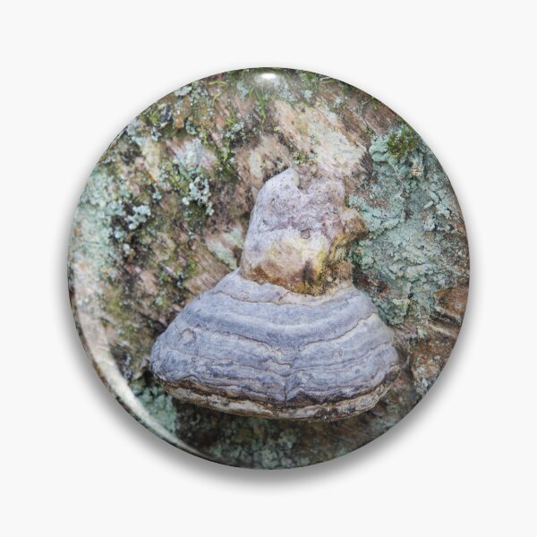 Item preview, Hoof Fungus designed and sold by Alternative Perspectives.