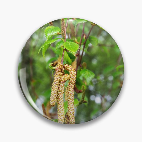 Item preview, Downy Birch Catkins designed and sold by Alternative Perspectives.