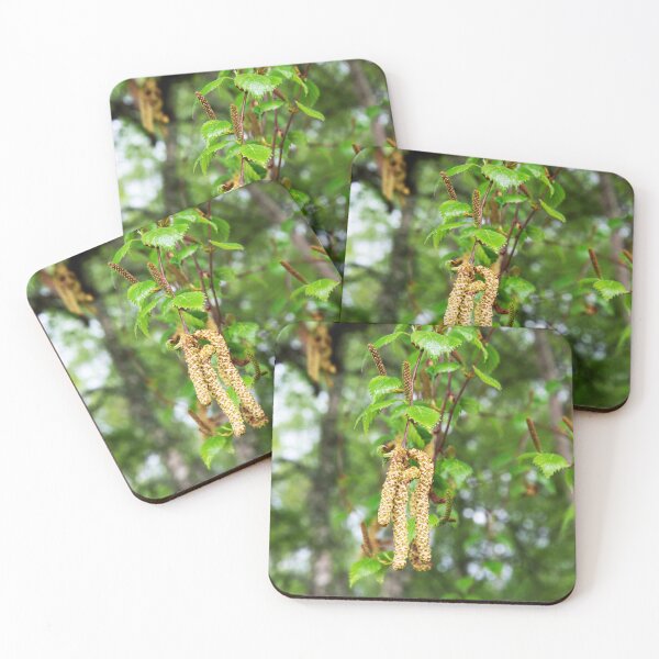 Item preview, Downy Birch Catkins designed and sold by Alternative Perspectives.