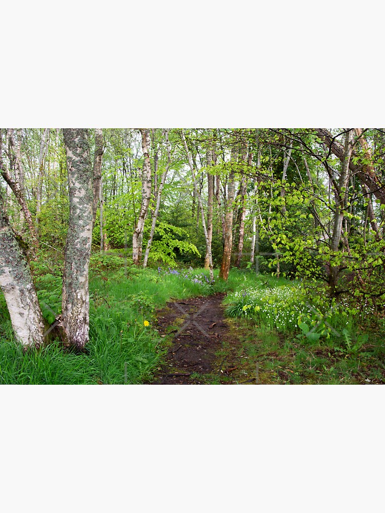 Thumbnail 3 of 3, Sticker, Welcome To The Woodland designed and sold by SiobhanFraser.