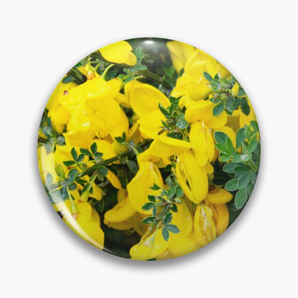 Item preview, Broom  designed and sold by Alternative Perspectives.