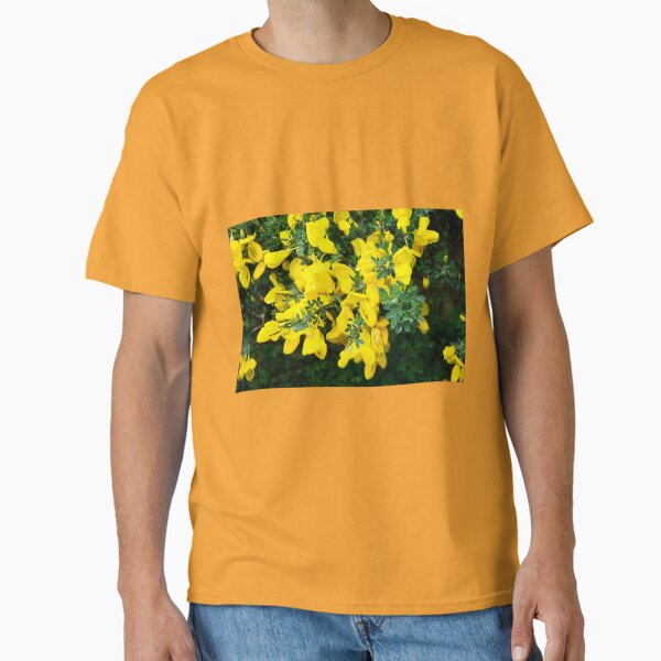 Broom Classic T-Shirt