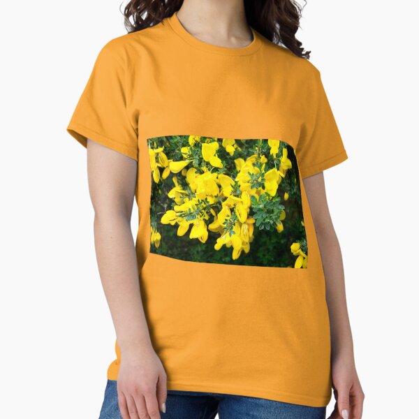 Broom Classic T-Shirt