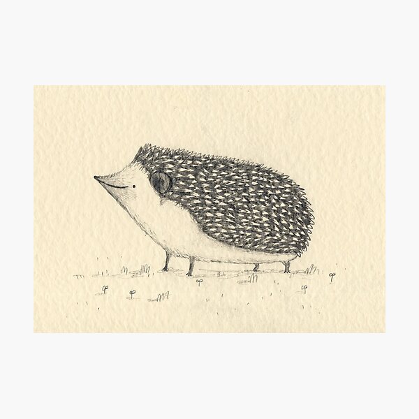 Item preview, Monochrome Hedgehog designed and sold by Sophie Corrigan.