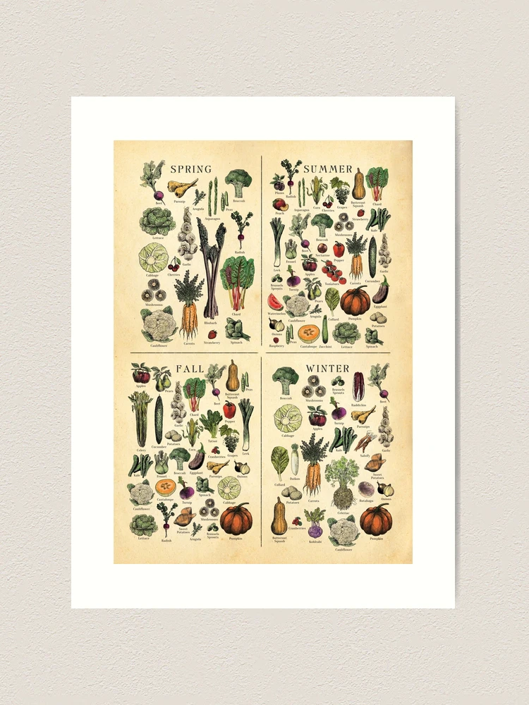 farp,large,wall_texture,