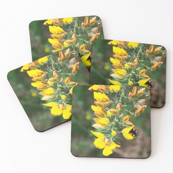 Item preview, Whin and Bee designed and sold by Alternative Perspectives.