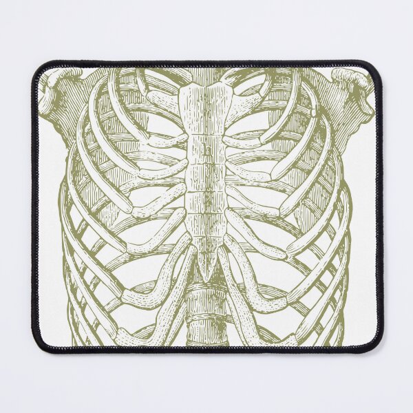 Item preview, Skeleton chest area designed and sold by portokalis.