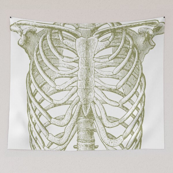 Item preview, Skeleton chest area designed and sold by portokalis.