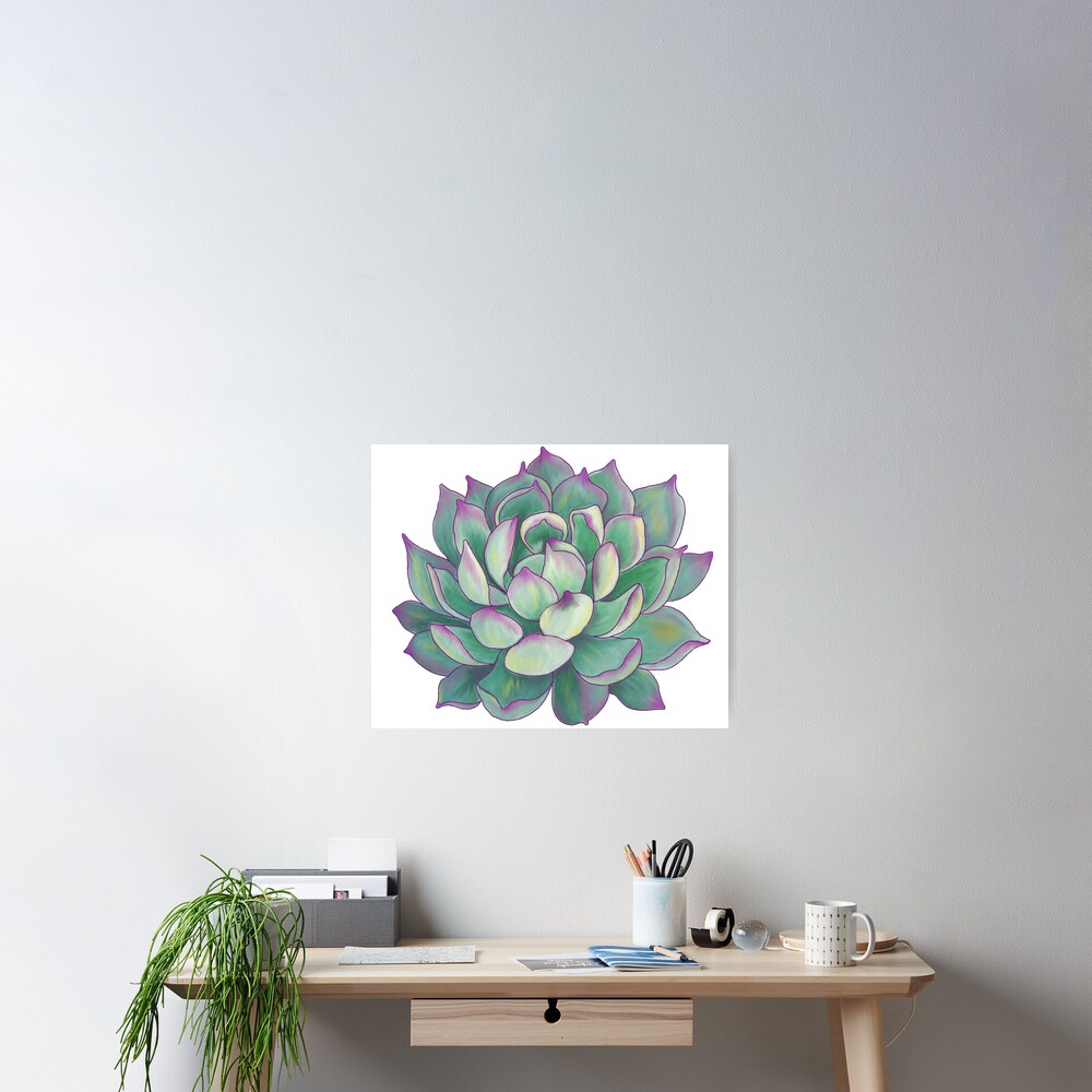 "Succulent plant" Poster by redqueenself Redbubble