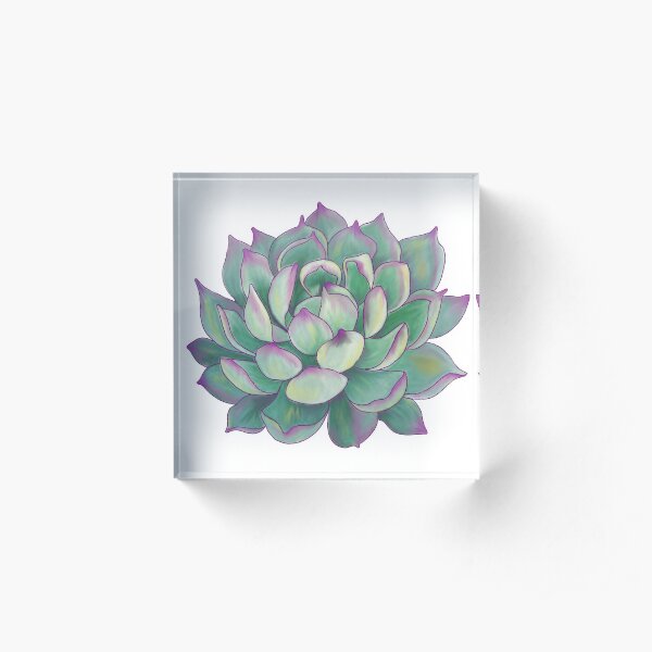 Succulent plant Acrylic Block