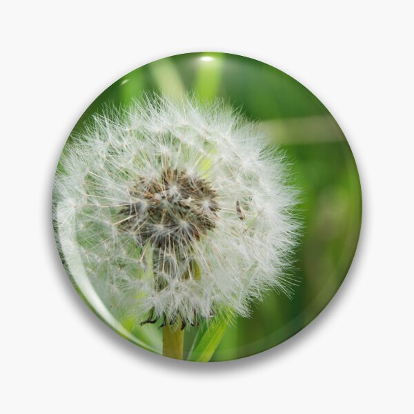 Item preview, Dandelion Seedhead designed and sold by Alternative Perspectives.
