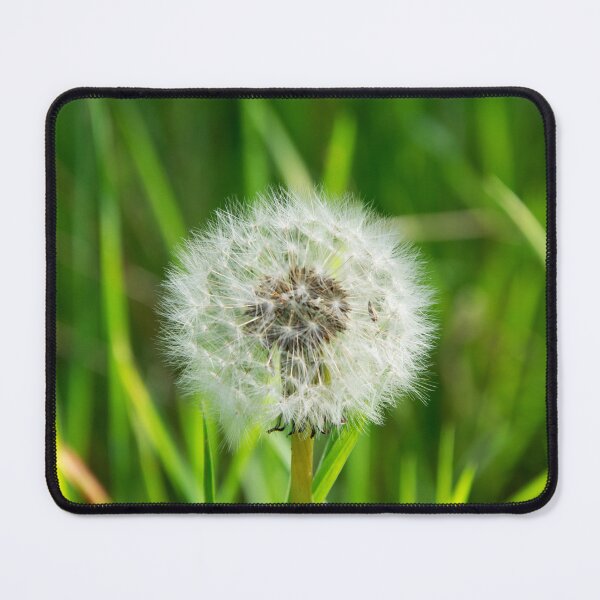Item preview, Dandelion Seedhead designed and sold by Alternative Perspectives.