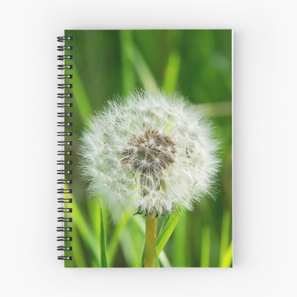 Item preview, Dandelion Seedhead designed and sold by Alternative Perspectives.