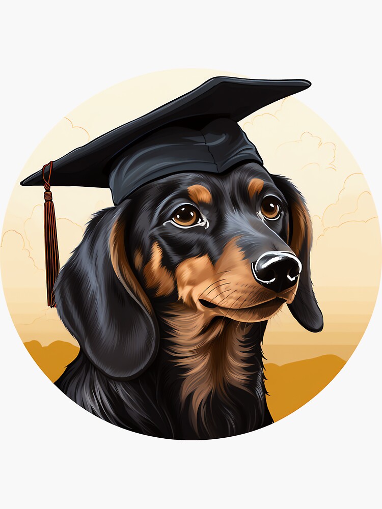 POPETPOP Pet Dr. Puppy Doctor Hat Customized Dog Graduation Animal Cat Toy Pet  Dog Supplies (Black) - Walmart.com