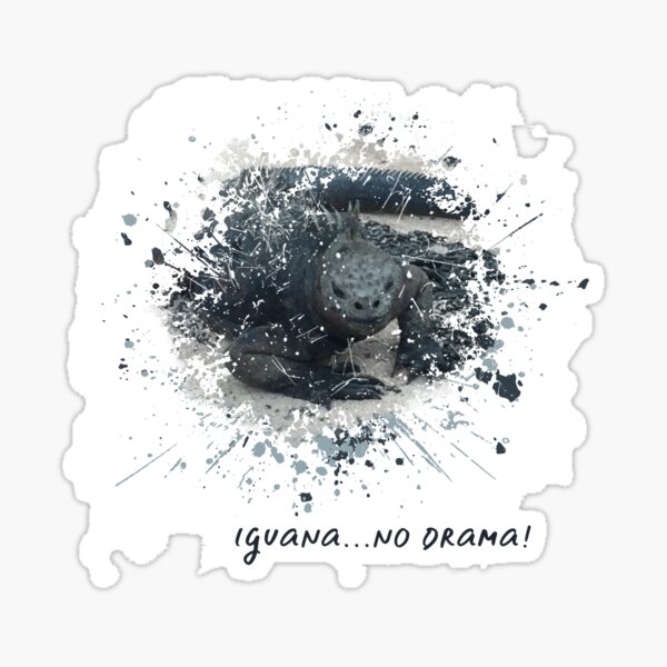Iguana No Drama Humor Sticker