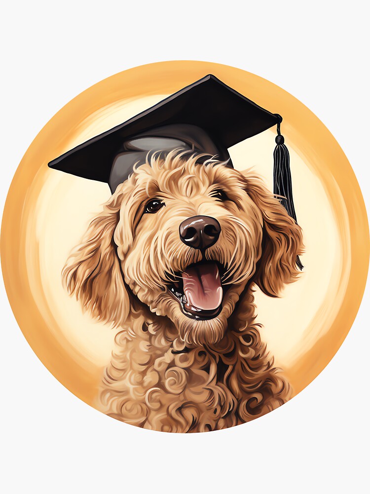 Dog hotsell graduation cap