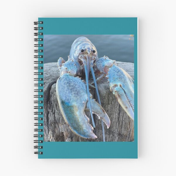 Item preview, blue lobster jumpscare meme designed and sold by KarolynClemente.