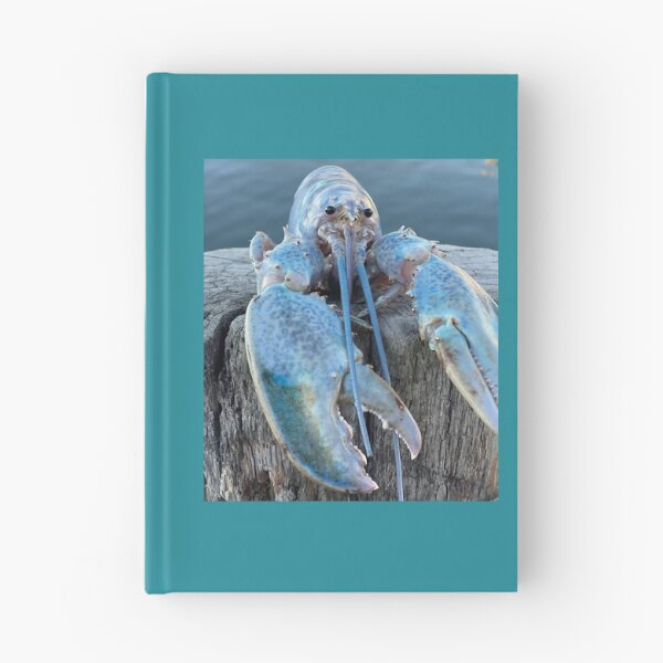 Item preview, blue lobster jumpscare meme designed and sold by KarolynClemente.