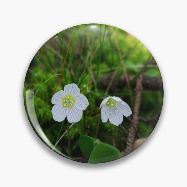Item preview, Wood Sorrel designed and sold by Alternative Perspectives.