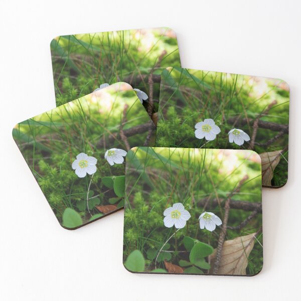 Item preview, Wood Sorrel designed and sold by Alternative Perspectives.