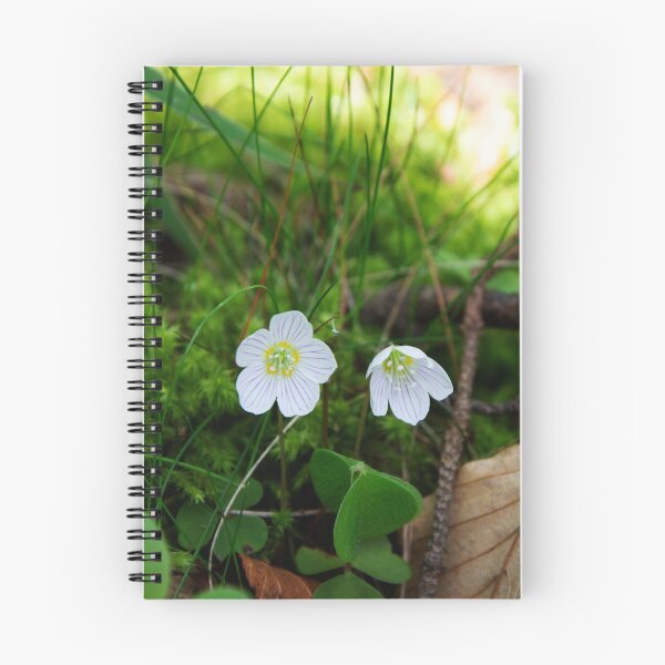 Item preview, Wood Sorrel designed and sold by Alternative Perspectives.
