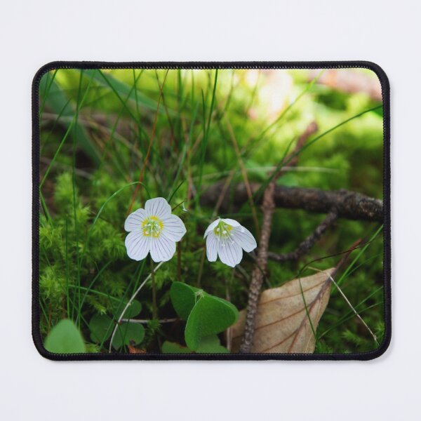 Item preview, Wood Sorrel designed and sold by Alternative Perspectives.
