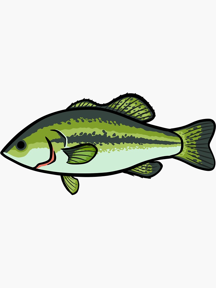 Largemouth Bass Fish  Sticker for Sale by SandpiperDesign