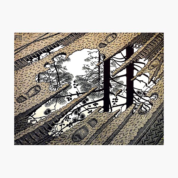 Artikelvorschau, Puddle, von M.C. Escher entworfen und verkauft von Gabriel S.