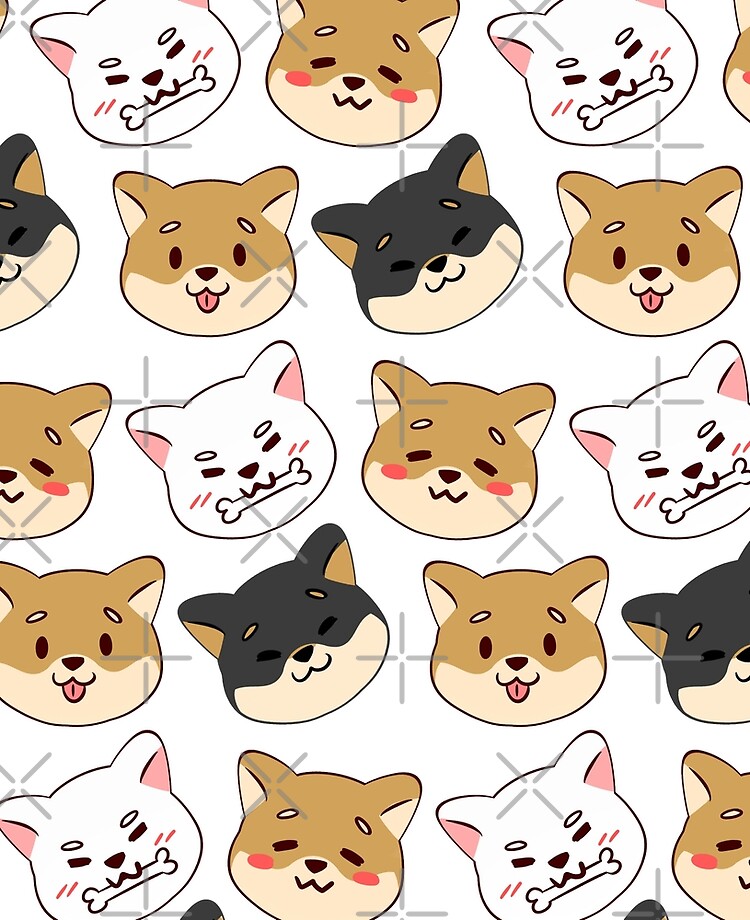 in home pet boarding near me