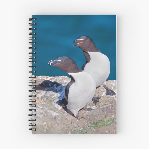 Item preview, Oooh Look Love... the Tourists have arrived... (Razorbills) designed and sold by Krys Bailey.
