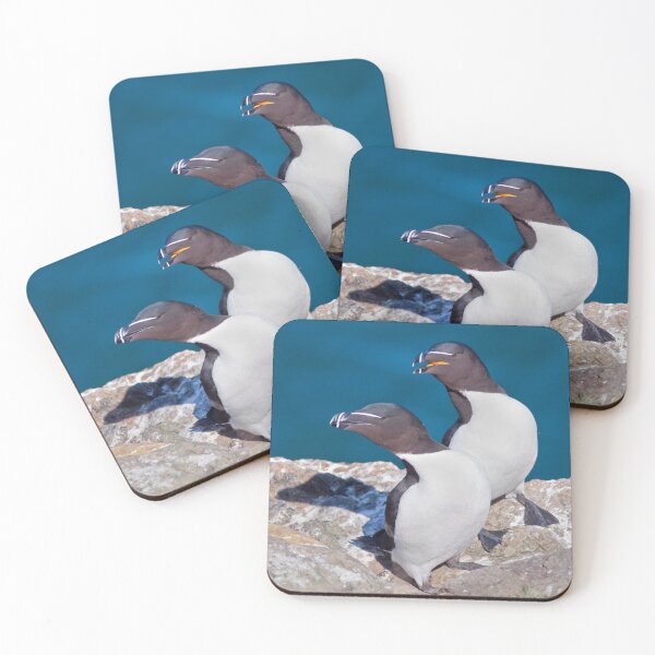 Item preview, Oooh Look Love... the Tourists have arrived... (Razorbills) designed and sold by Krys Bailey.
