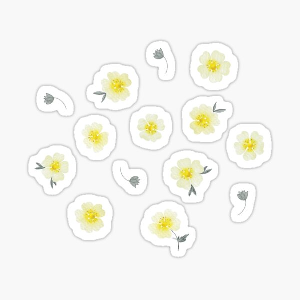 Boho Daisy Flower Stickers - Flower Sticker Pack 6 PC