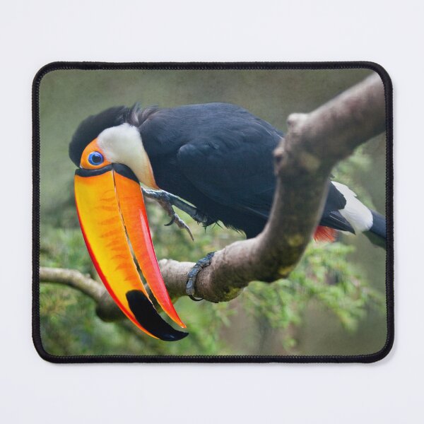 Item preview, My Beautiful Beak designed and sold by Krys Bailey.