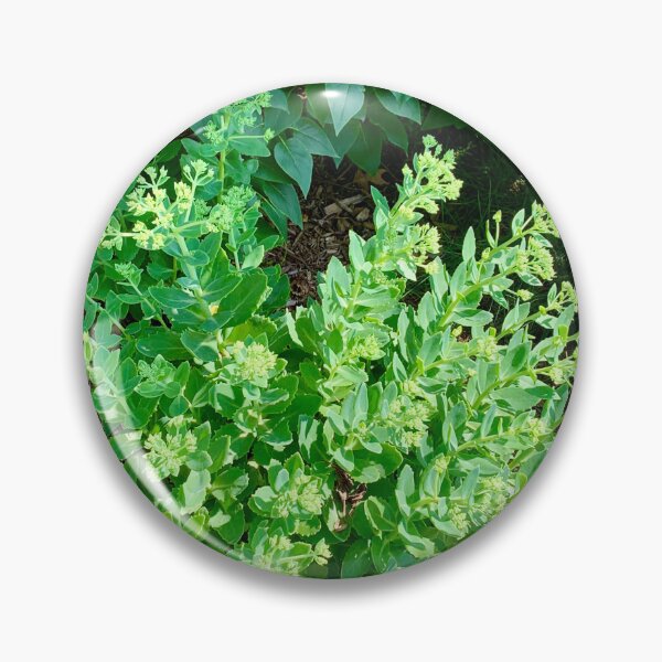Item preview, Garden glory  designed and sold by JilleArt Designs.