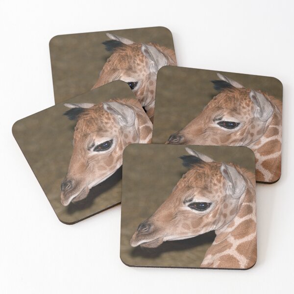 Item preview, The Newbie designed and sold by Krys Bailey.