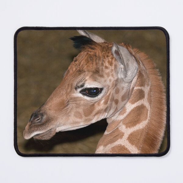 Item preview, The Newbie designed and sold by Krys Bailey.