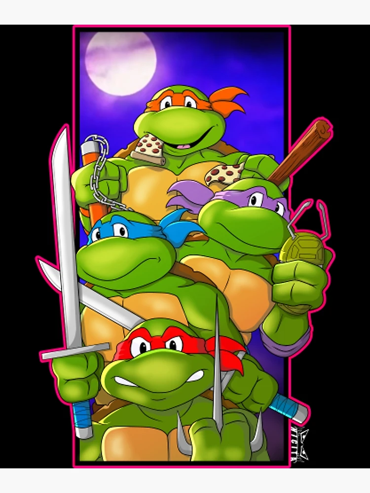 Best Gift Ideas for Teenage Mutant Ninja Turtles Fans  Teenage mutant  ninja turtles, Teenage mutant ninja turtles gifts, Ninja turtles