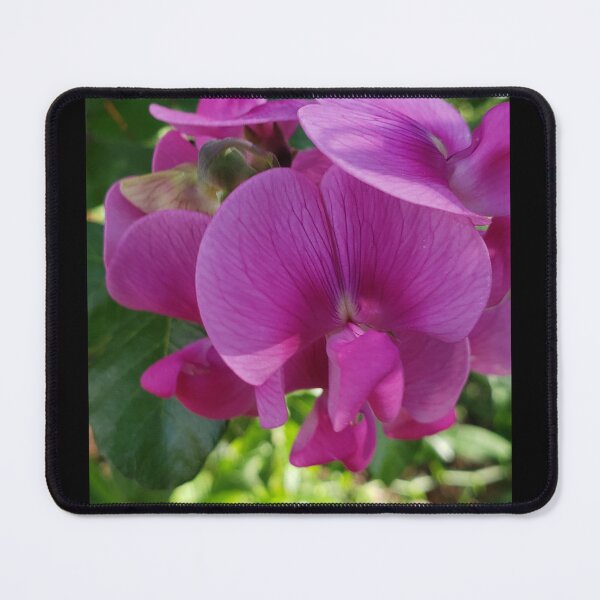 Item preview, Purpley flowers  designed and sold by DancingCreek.
