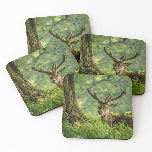 Item preview, Majestic stag sitting under a summer woodland tree designed and sold by bailey-cooper.