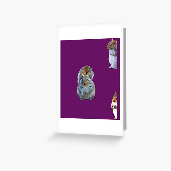 What Do You Meme?® Greeting Card - Birthday Card (Shocked Squirrel