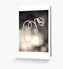 Spirale Greeting Card
