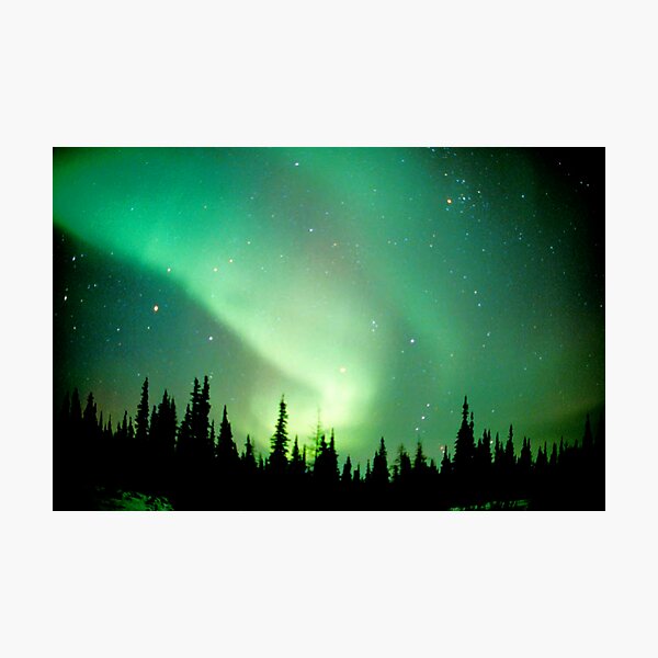 Aurora Borealis, Churchill, Manitoba Photographic Print
