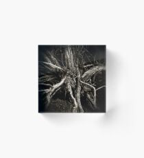 Sage Brush Acrylic Block