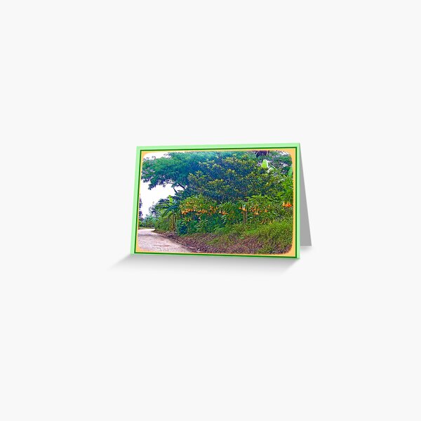 Back Road with Trumpet Flowers Greeting Card