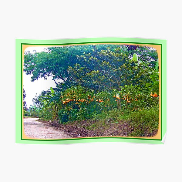 Back Road with Trumpet Flowers Poster